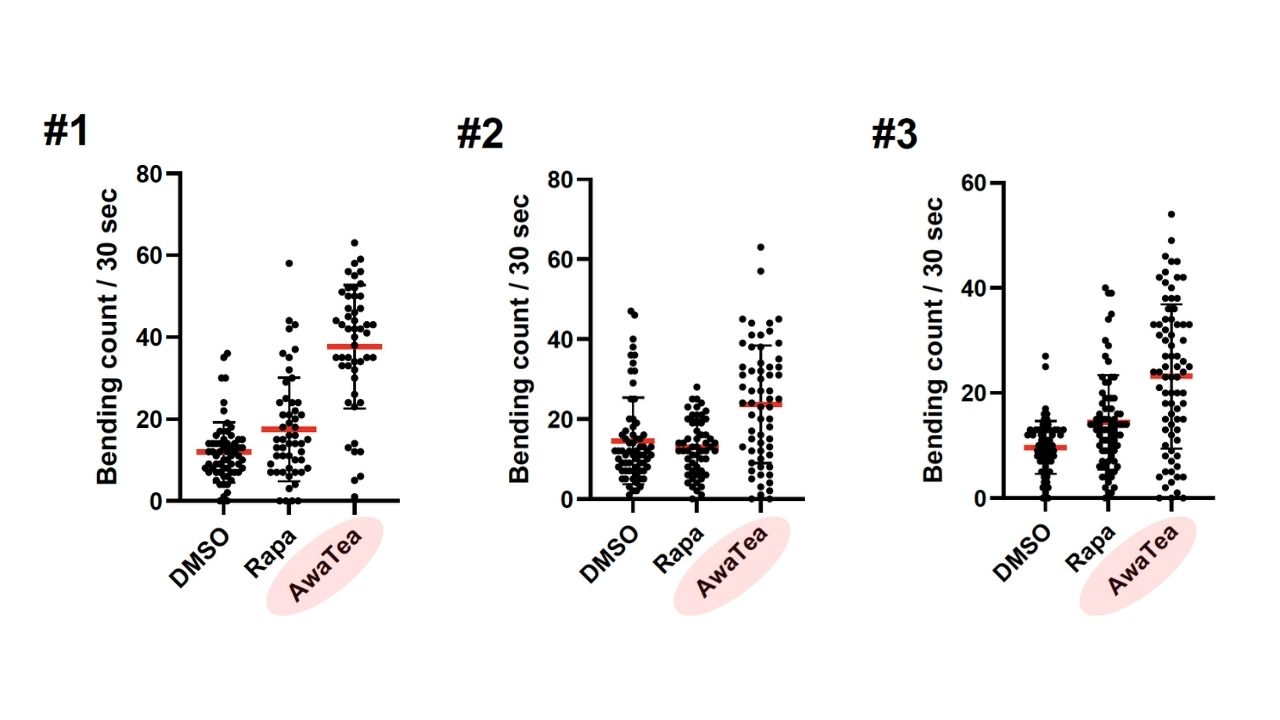 運動機能の改善