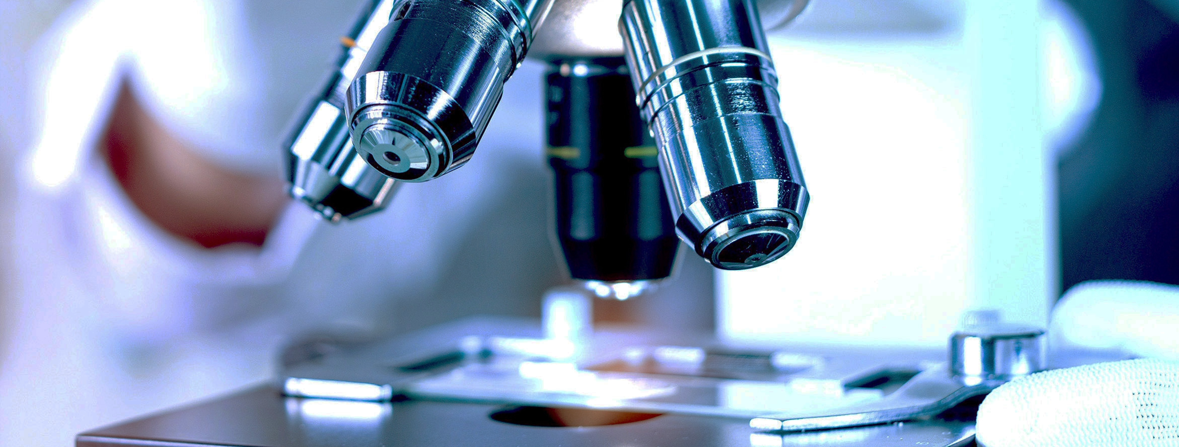 老化研究と老化制御のトータルソリューションの開発