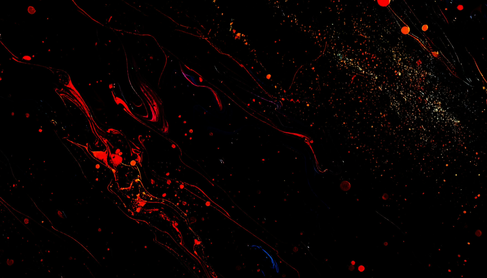 老化研究の羅針盤