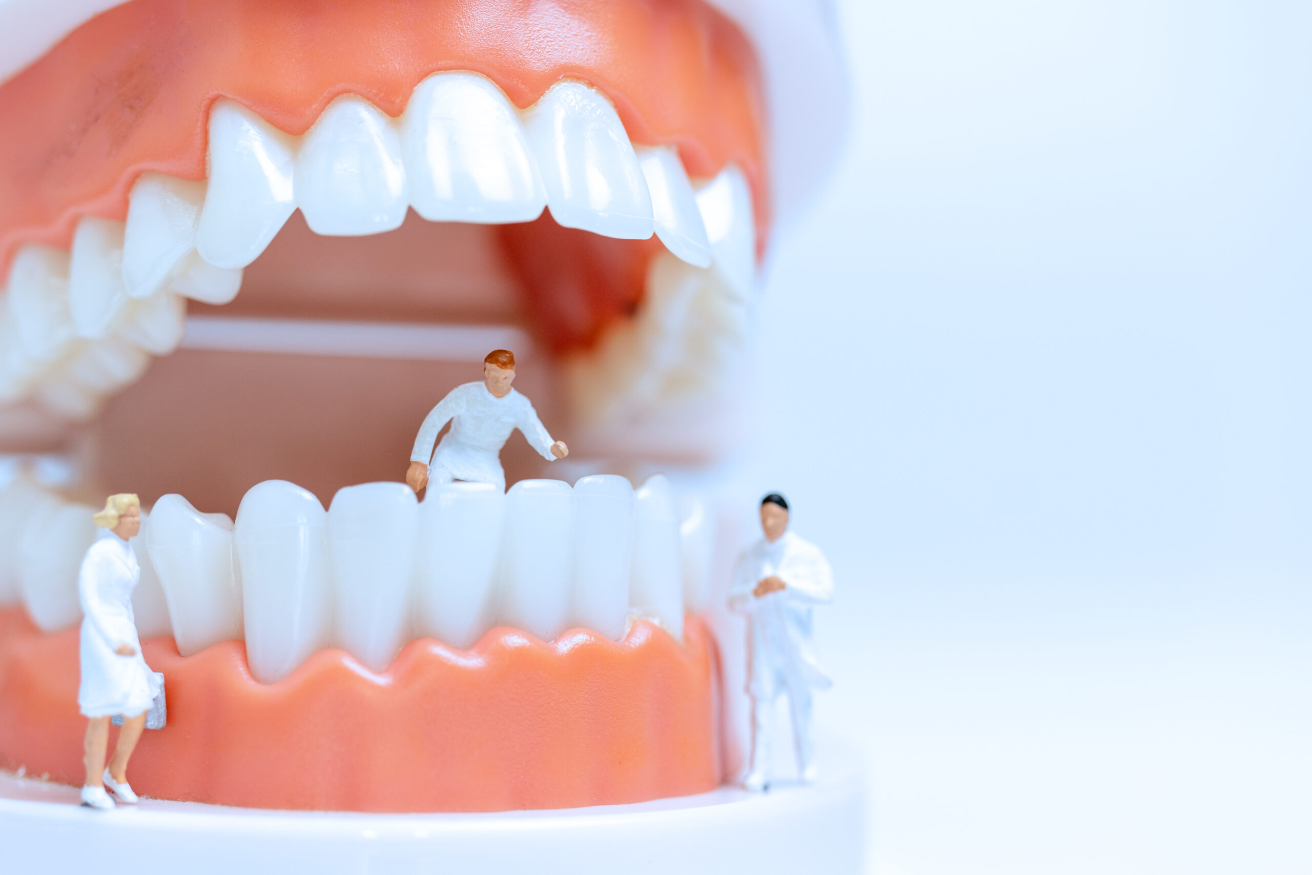 わさび成分ヘキサラファンは「しみる歯」の象牙質を再生する？ ― TRPA1に依存しない新しいメカニズムを解説